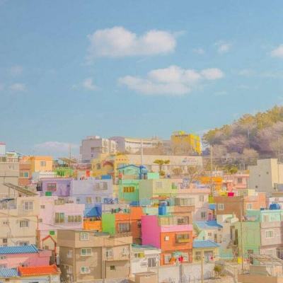 九州官网十年信誉玩家首选手机app下载